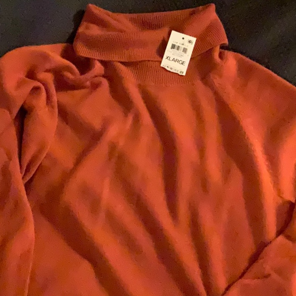 Burnt orange turtle neck long sleeve sweater.